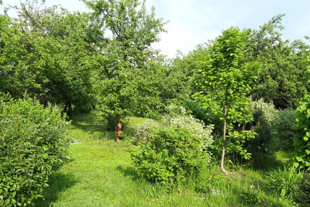 Villa Na Wsi. *